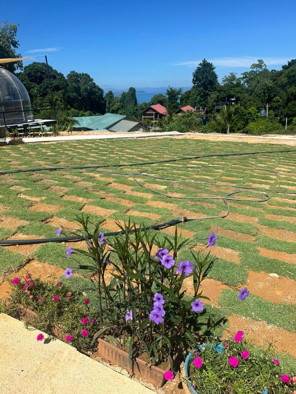 Dnamie Glamping - Lux Tent Pulau Perhentian Kecil Dış mekan fotoğraf